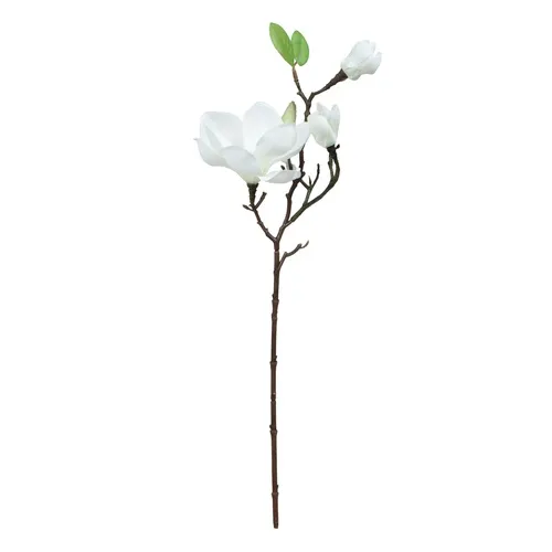 Magnólia – vetvička 50 cm K525